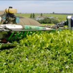 Agro allied