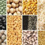 agro allied 1